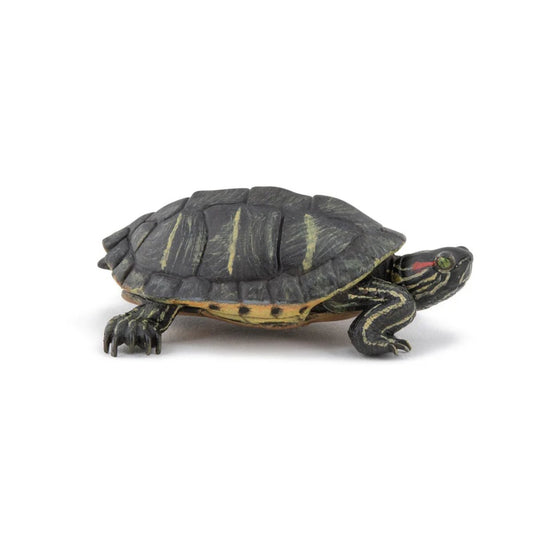papo-tierwelt-florida-schildkroete-figur-ECBC48601.jpg