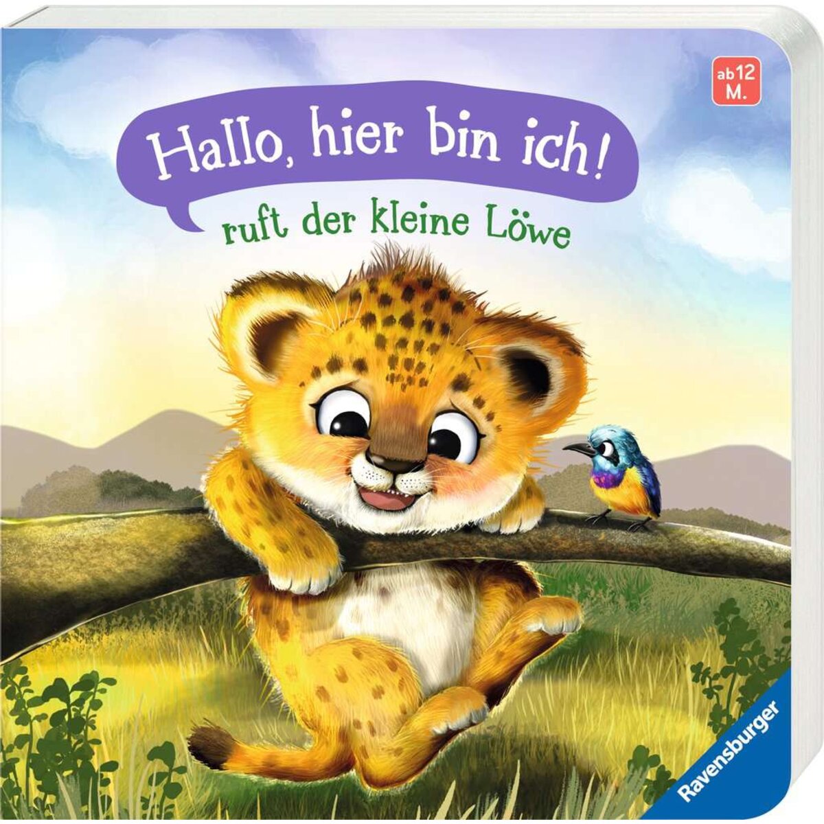 ravensburger-42213-hallo-hier-bin-CA38D20C1.jpg