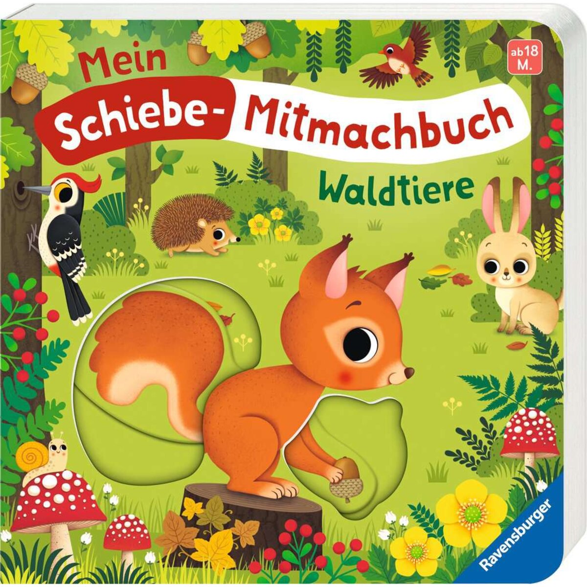 ravensburger-42265-mein-schiebe-mitmachbuch-FF2D2C243.jpg