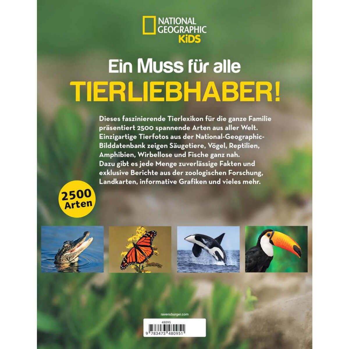 ravensburger-48095-national-geographic-kids-2593B0DA2.jpg