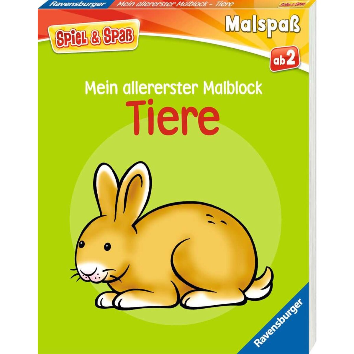 ravensburger-48848-spiel--spass-87A916881.jpg