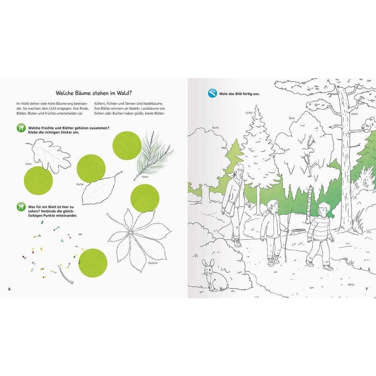 Ravensburger aktiv Buch - Wald (Wieso? Weshalb? Warum?)