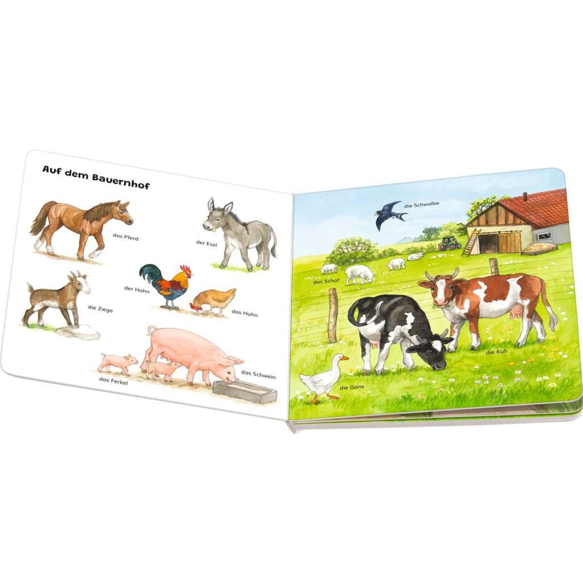 ravensburger-mein-allererstes-tierlexikon-4E2520693.jpg