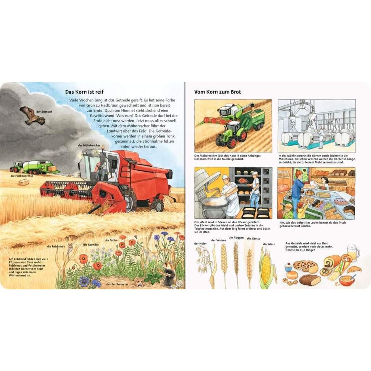 ravensburger-mein-grosses-bilderlexikon-auf-C74097064.jpg