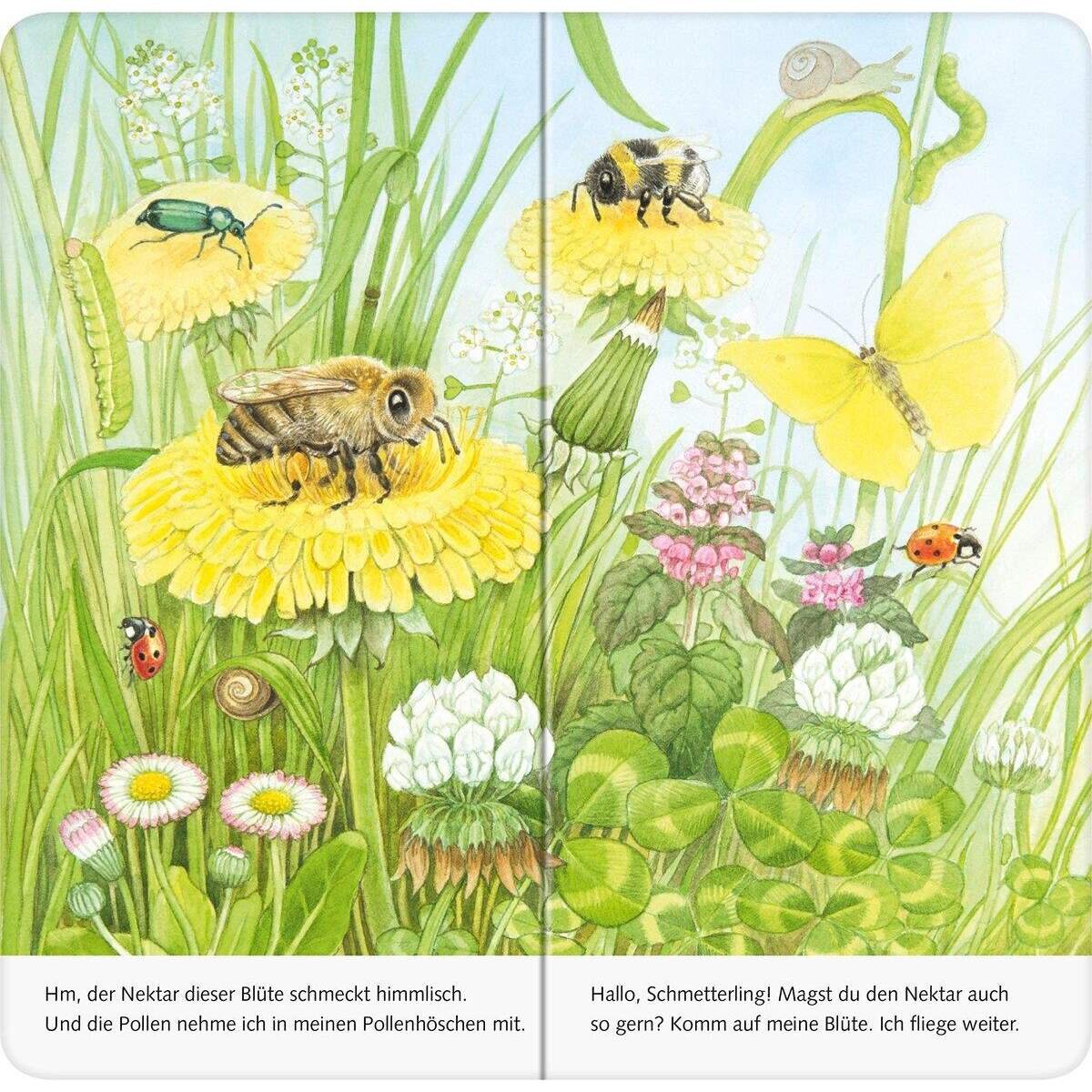 ravensburger-mein-naturstart---B24CDD153.jpg
