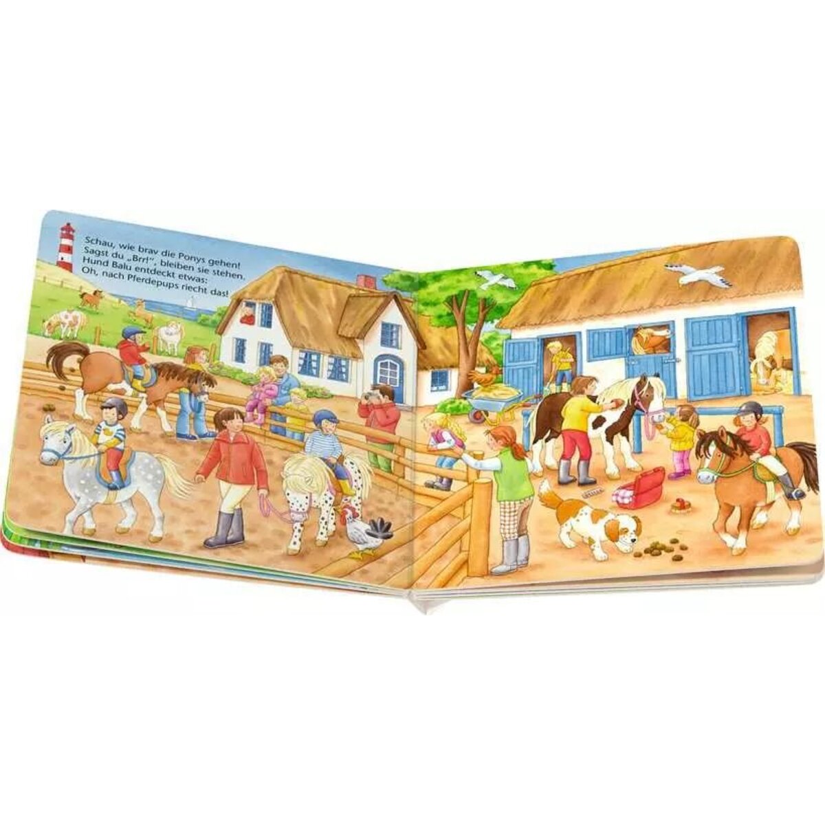 ravensburger-ministeps-wir-entdecken-den-B74D1D5B5.jpg