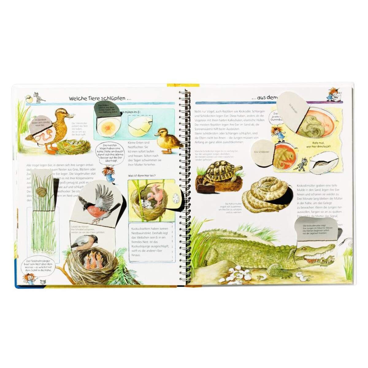 Ravensburger Wieso? Weshalb? Warum? 33 Tiere und ihre Kinder