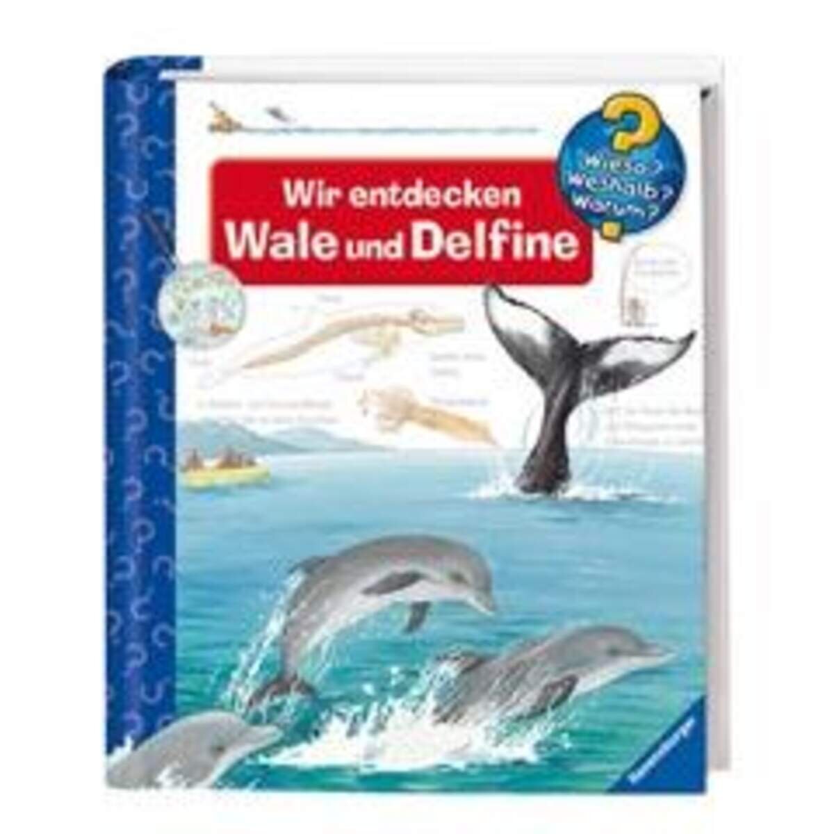 ravensburger-wieso-weshalb-warum-41-2A37C31C3.jpg