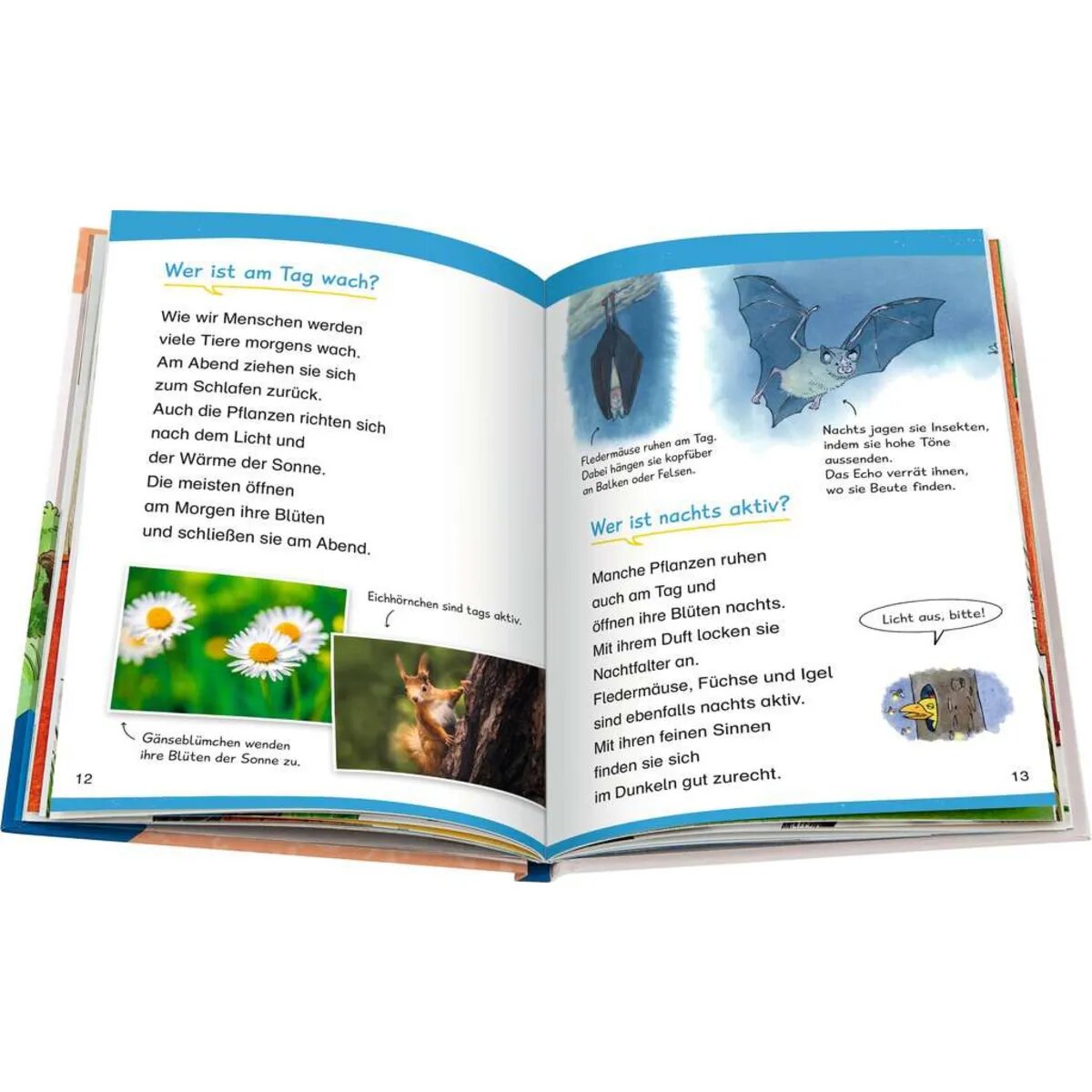 Ravensburger Wieso? Weshalb? Warum? Erstleser, Band 10:  In der Natur