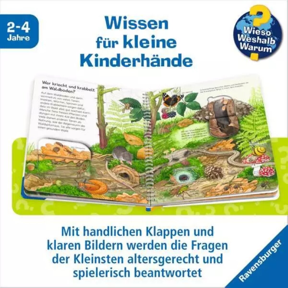 Ravensburger Wieso? Weshalb? Warum? Junior Band 77 Tiere im Wald
