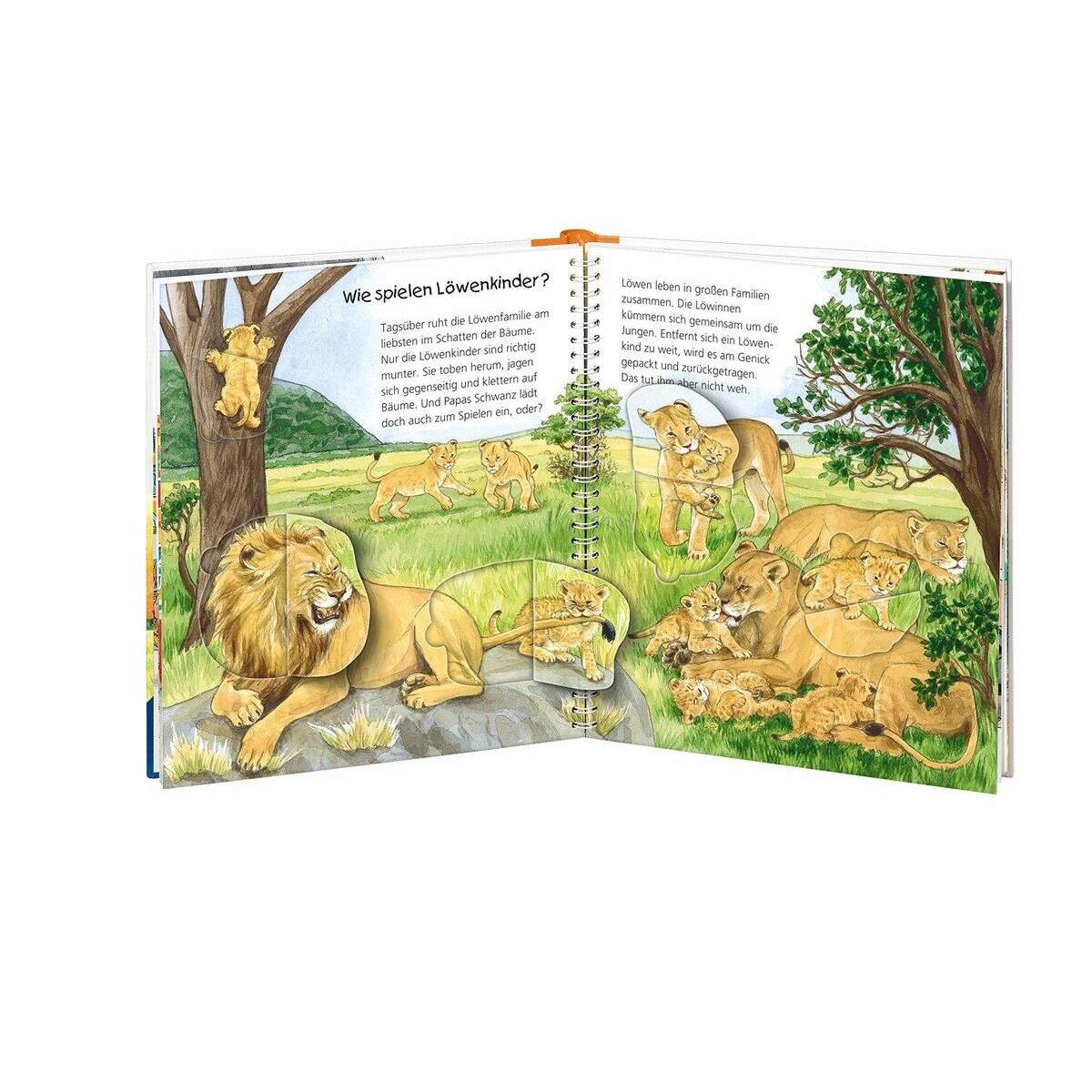 Ravensburger Wieso? Weshalb? Warum? Mein erstes Vorschulbuch: Buchstaben und Zahlen