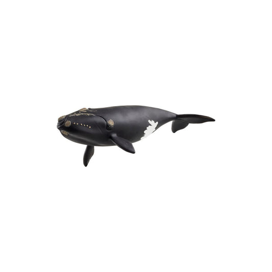 schleich® WILD LIFE 14878 Nordatlantischer Glattwal