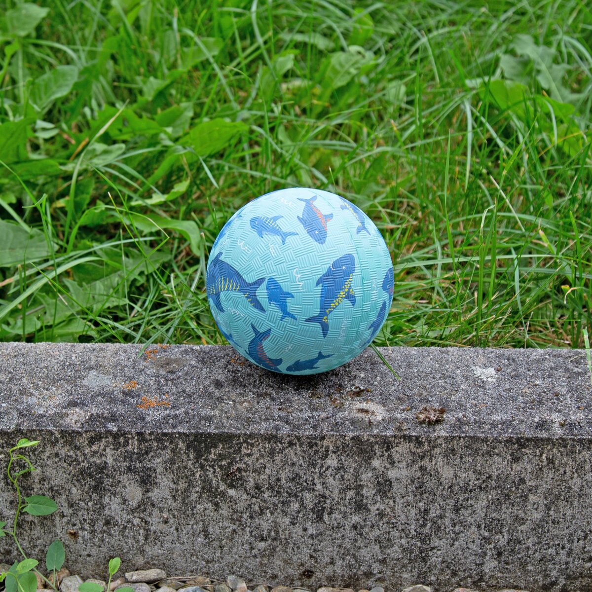 sigikid-kinder-mini-spielball-hai-1C48A8B34.jpg