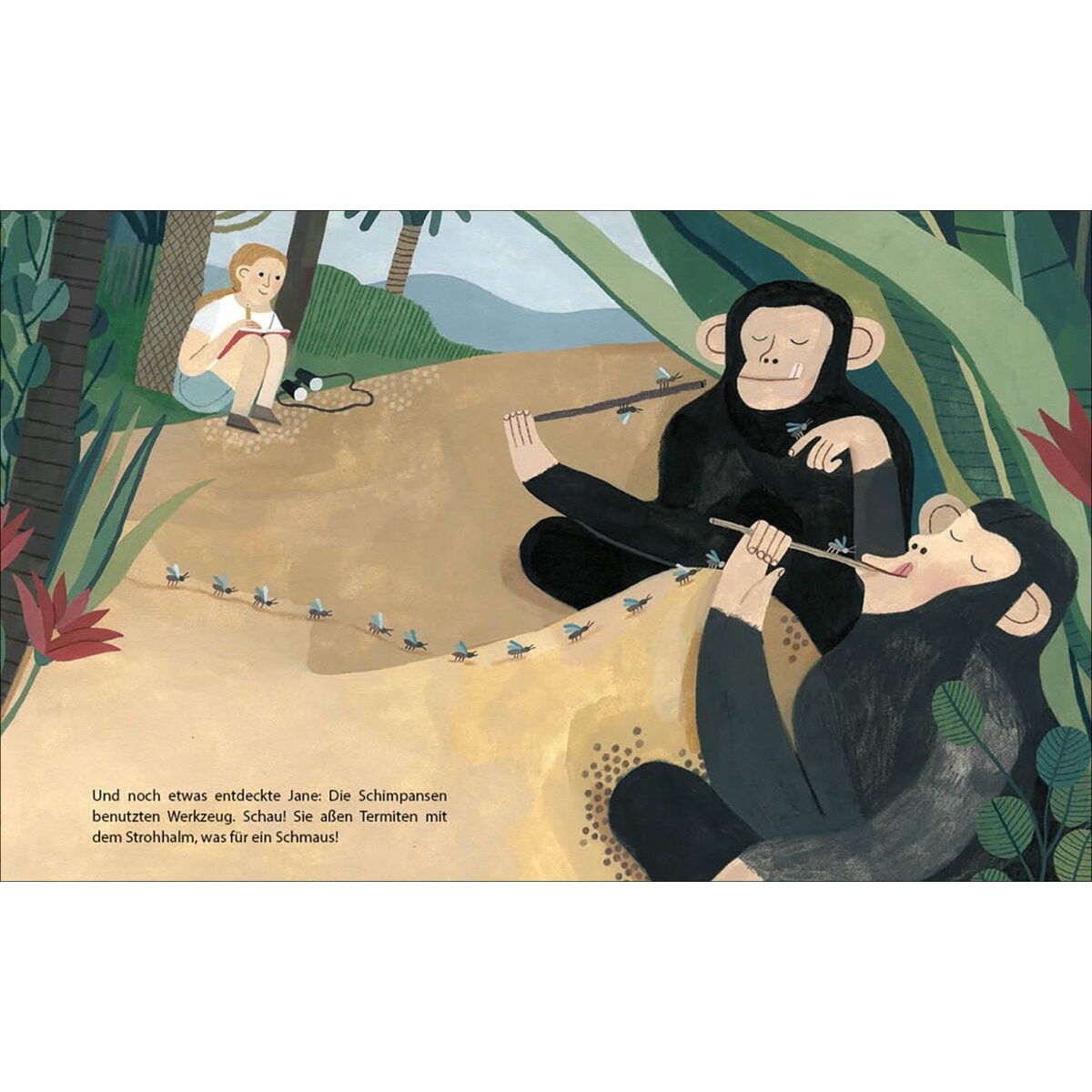 Suhrkamp Verlag Little People, Big Dreams - Jane Goodall