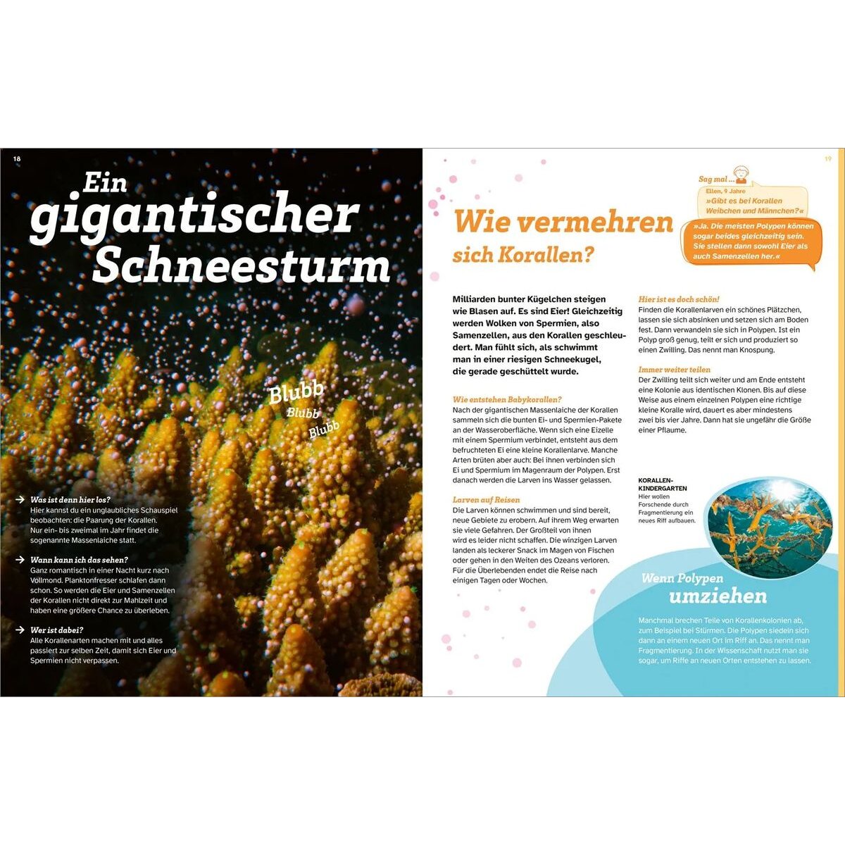 tessloff-was-ist-was-korallenriff-48A448593.jpg
