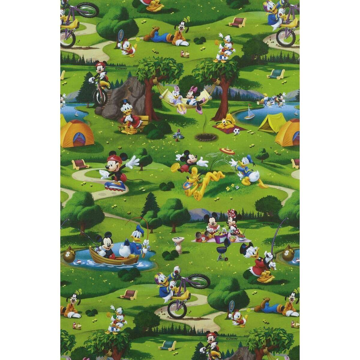zoewie-geschenkpapier-disney-2-m-4FD0BD2E5.jpg